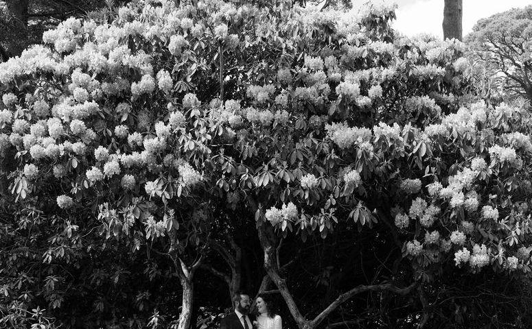 The Wedding Website of Christine Witt and Phillip Korol