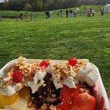 Howling Cow Dairy Education Center and Creamery