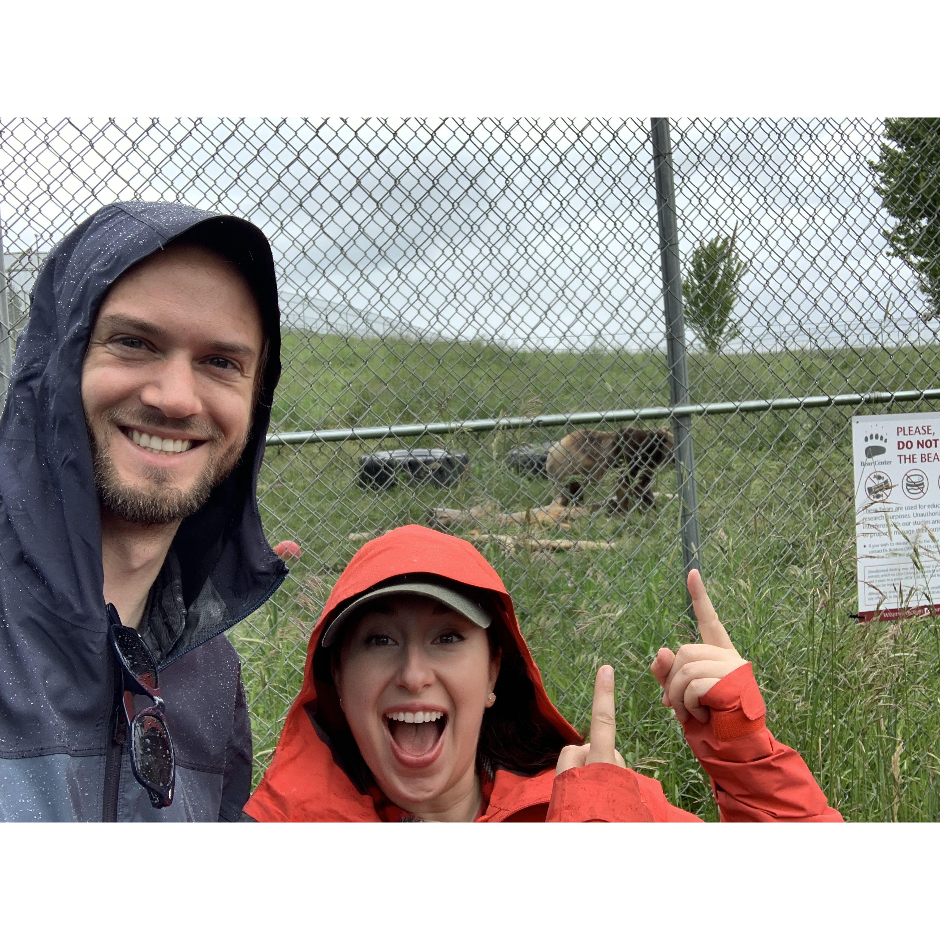 Da bears in Pullman WA, June 2022