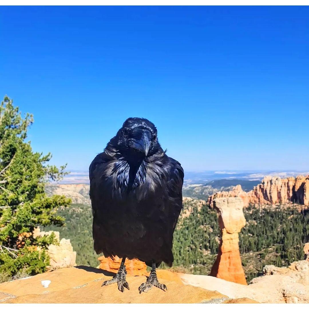 Bryce Canyon National Park 2021