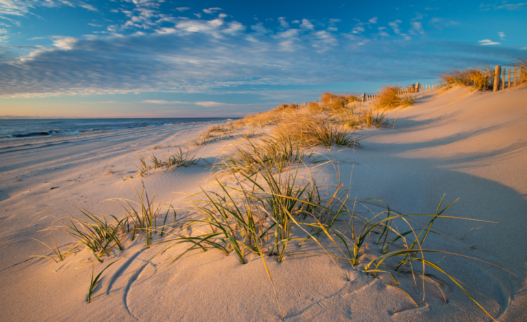 The Wedding Website of Aubrey Guidetti and Michael Richter