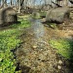 Silver Springs State Park