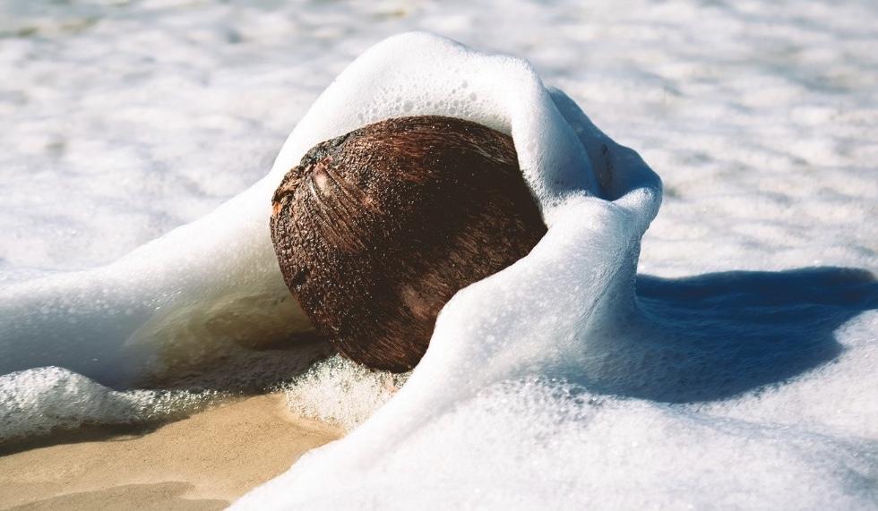 The Wedding Website of Ali Stephens and Drew Litvin