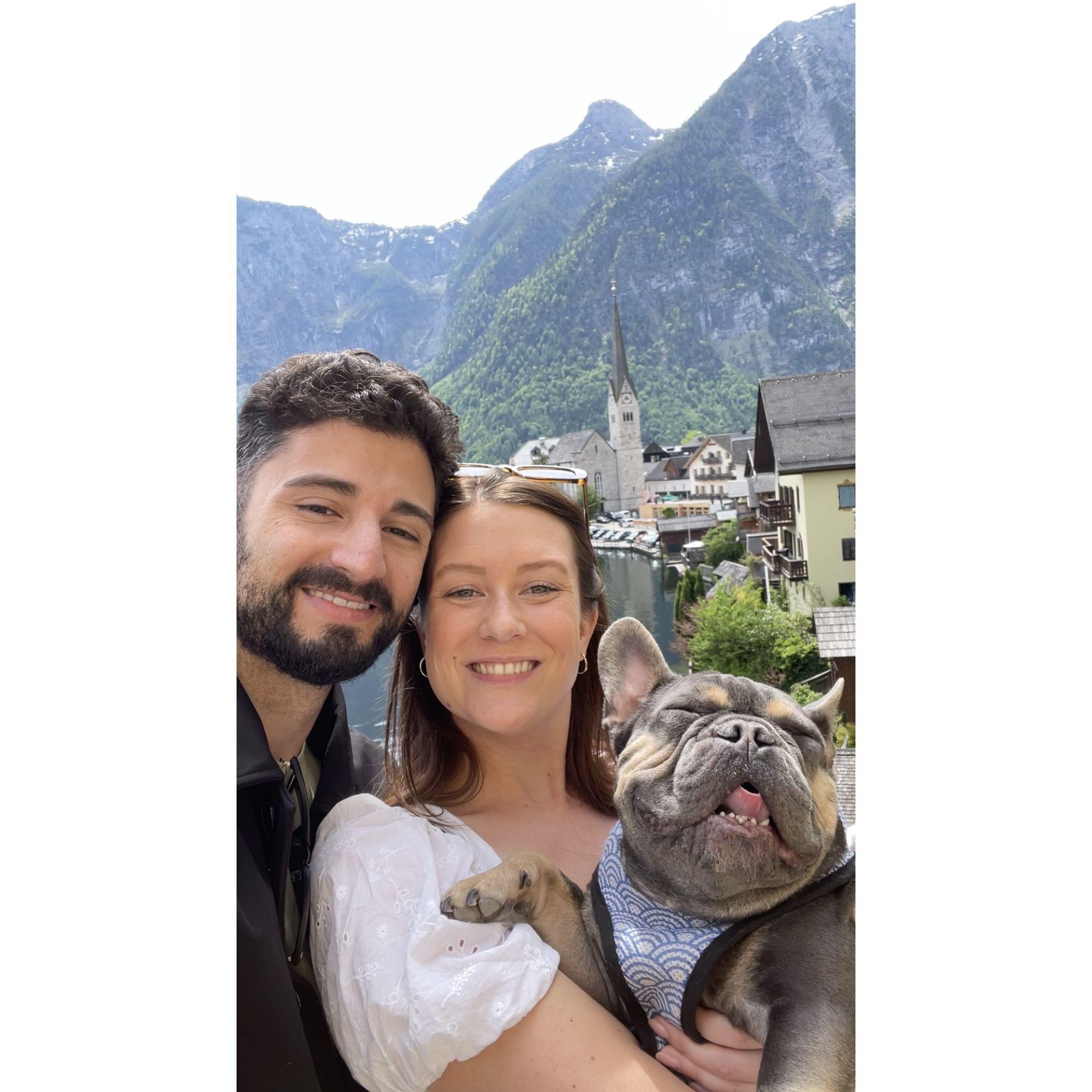 Basking in the sun in Hallstatt, Austria. May 2024 ⛰️🇦🇹