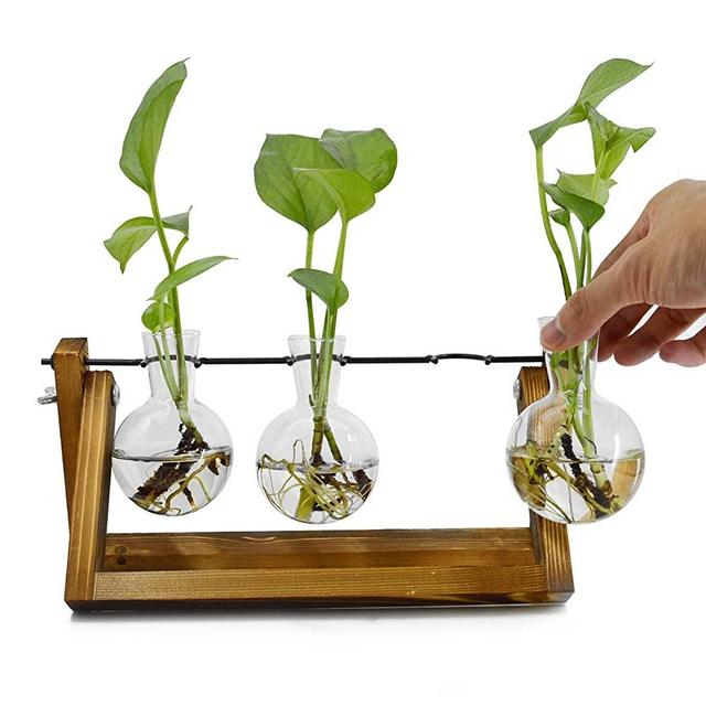 Plant Terrarium with Wooden Stand, Desktop Air Planter Bulb Glass Vase, Plant Gifts for Plant Lovers, for Hydroponics Home Garden Office Decoration（3 Bulb Vase）