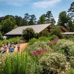 North Carolina Botanical Garden