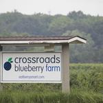 Crossroads Blueberry Market
