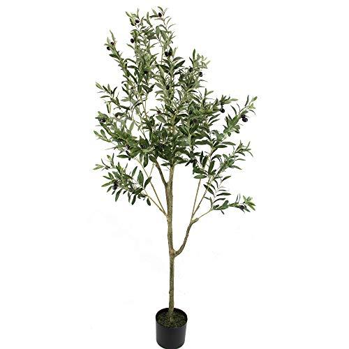 UNIQUE FOREST ARTS 6-Feet Olive Silk Tree,Artificial Silk Plant,Artificial Tree Green (6-Feet Olive Tree)