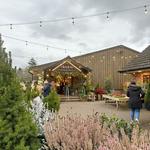 Mainstay Farm