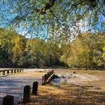Tyler State Park