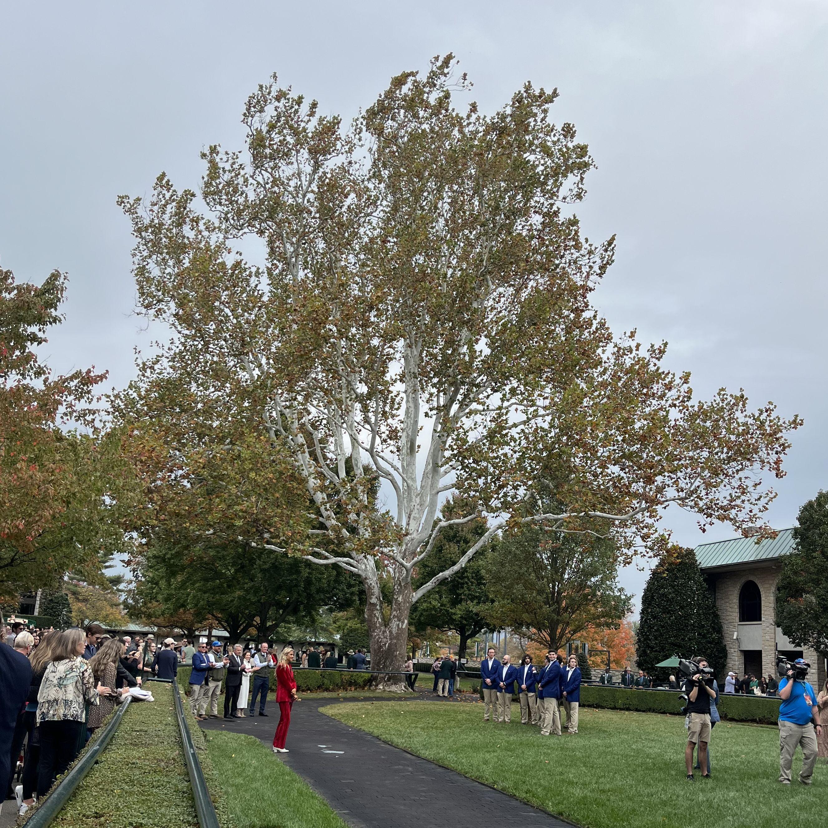 Hero Slideshow Image 0