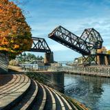 Ballard Locks and Golden Gardens