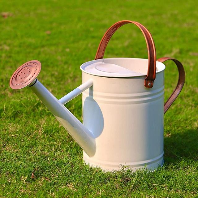 Joequality Watering Can for Outdoor&Indoor Plants，1 Gallon Metal Plant Watering Can with Detachable Diffuser Spout，Galvanized Steel Watering Can with Copper Handles，White