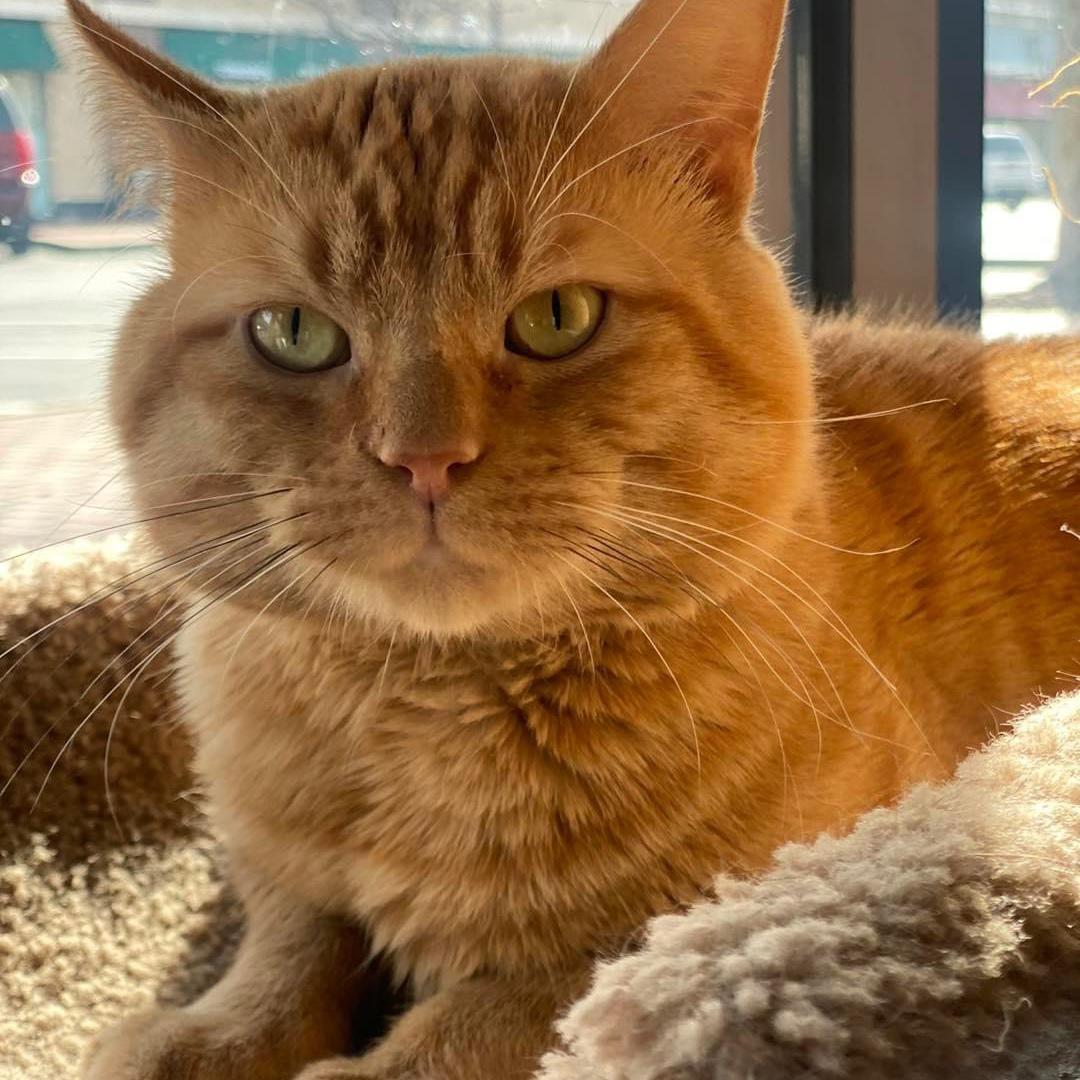 April 2023 - We adopted Kiko!