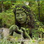 The Lost Gardens of Heligan