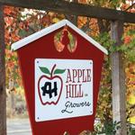 Apple Hill