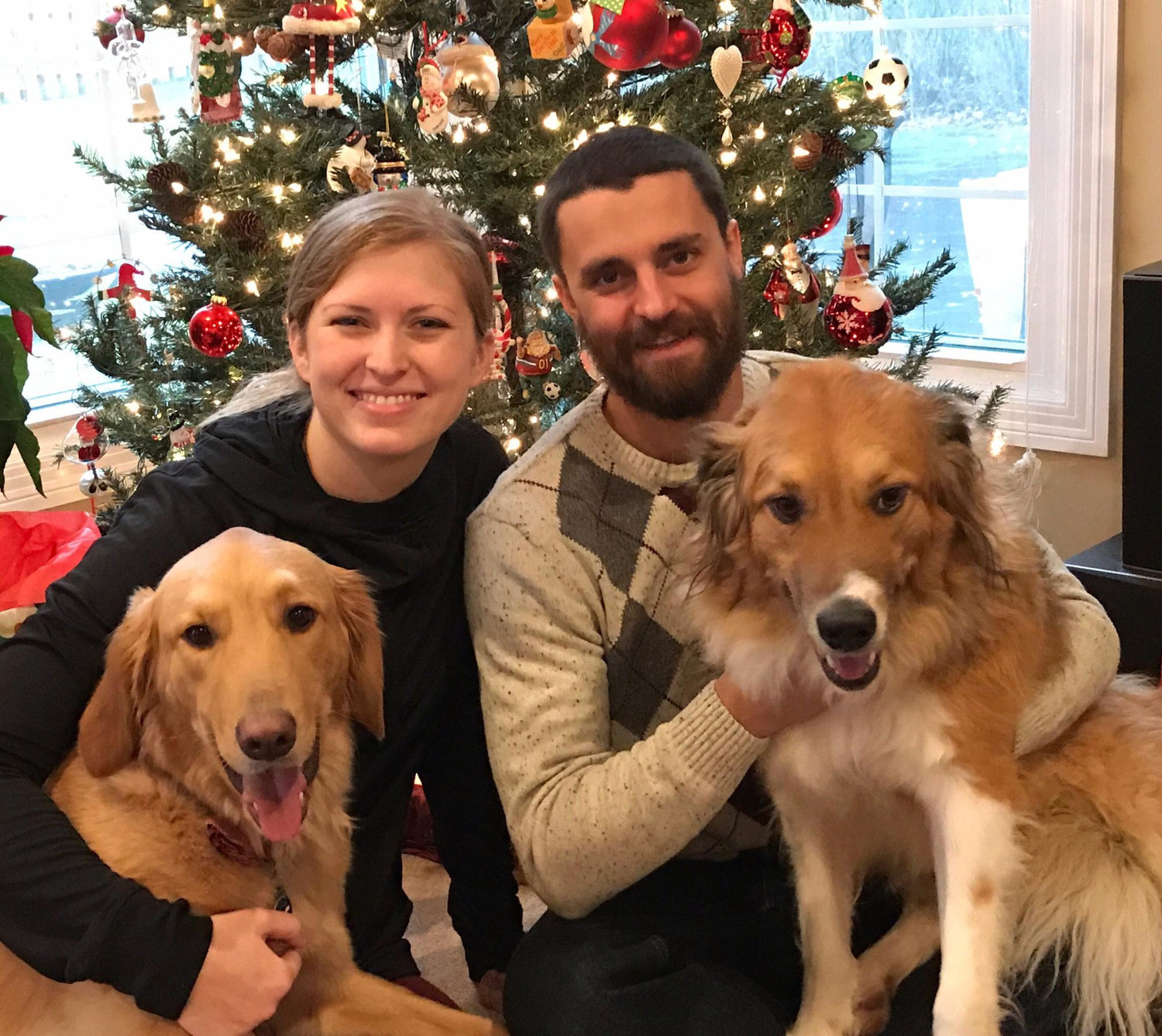 Christmas with the fur-babies.
December 2016