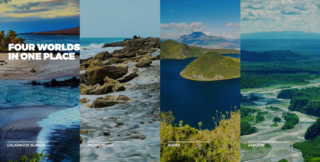 The Wedding Website of Dominique Vasconez and Kevin Zagrean