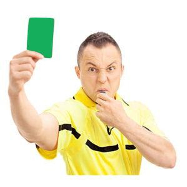 Ana’s Green Card