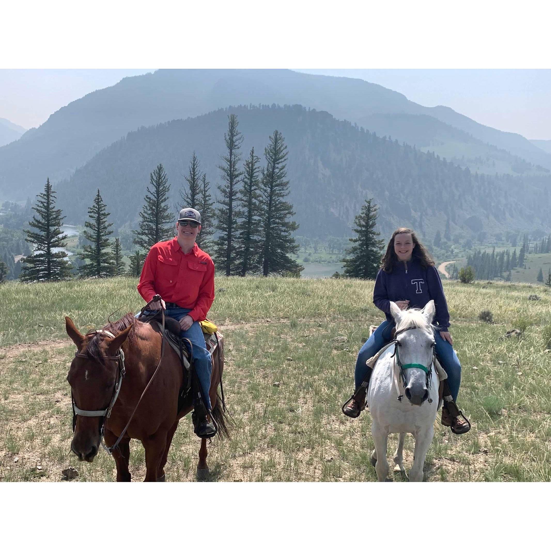 These horses did not like each other, and would not get any closer than this without fighting.
