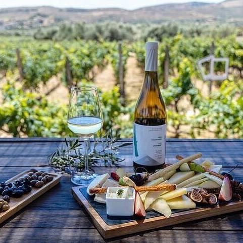Honeymoon Wine Tasting