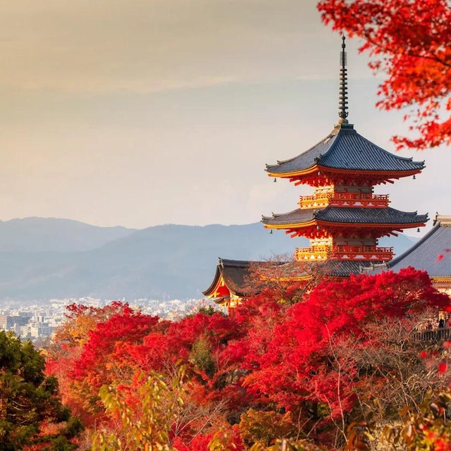 Japan Honeymoon Fund