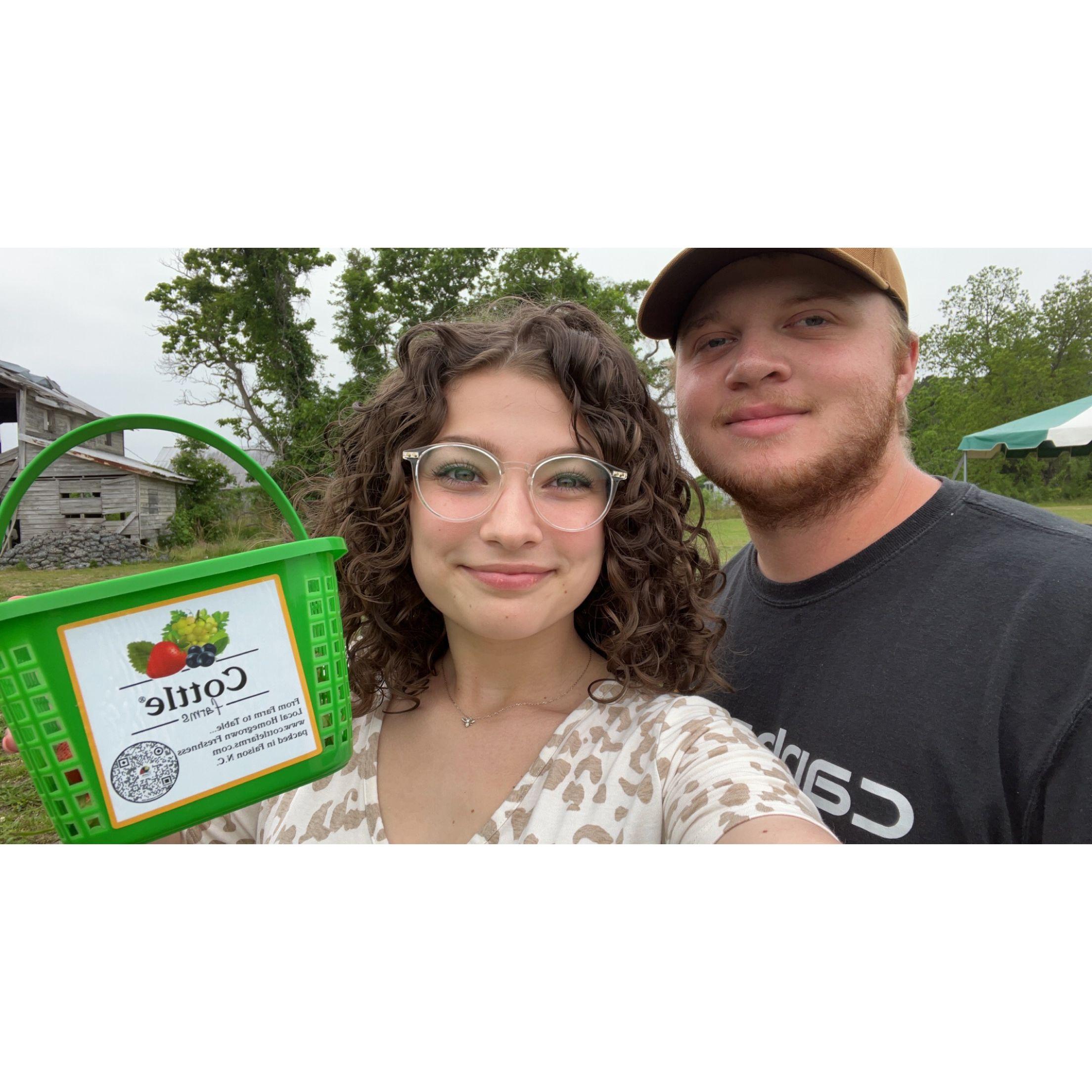 Picking strawberries! (5/2022)