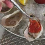 The Oysterman