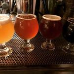 Dig Deep Brewing Co.