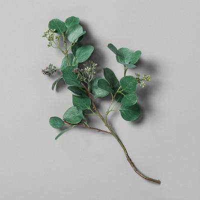 Eucalyptus Pick Stem - Hearth & Hand™ with Magnolia