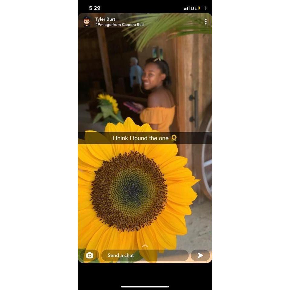 I talked about wanting to go to a sunflower farm in passing, and a week later Tyler told me he had a surprise for me and brought me to pick sunflowers. This was posted on his snapchat that day. <3