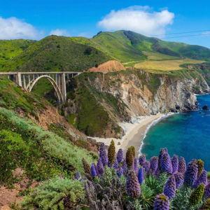 California Roadtrip Honeymoon