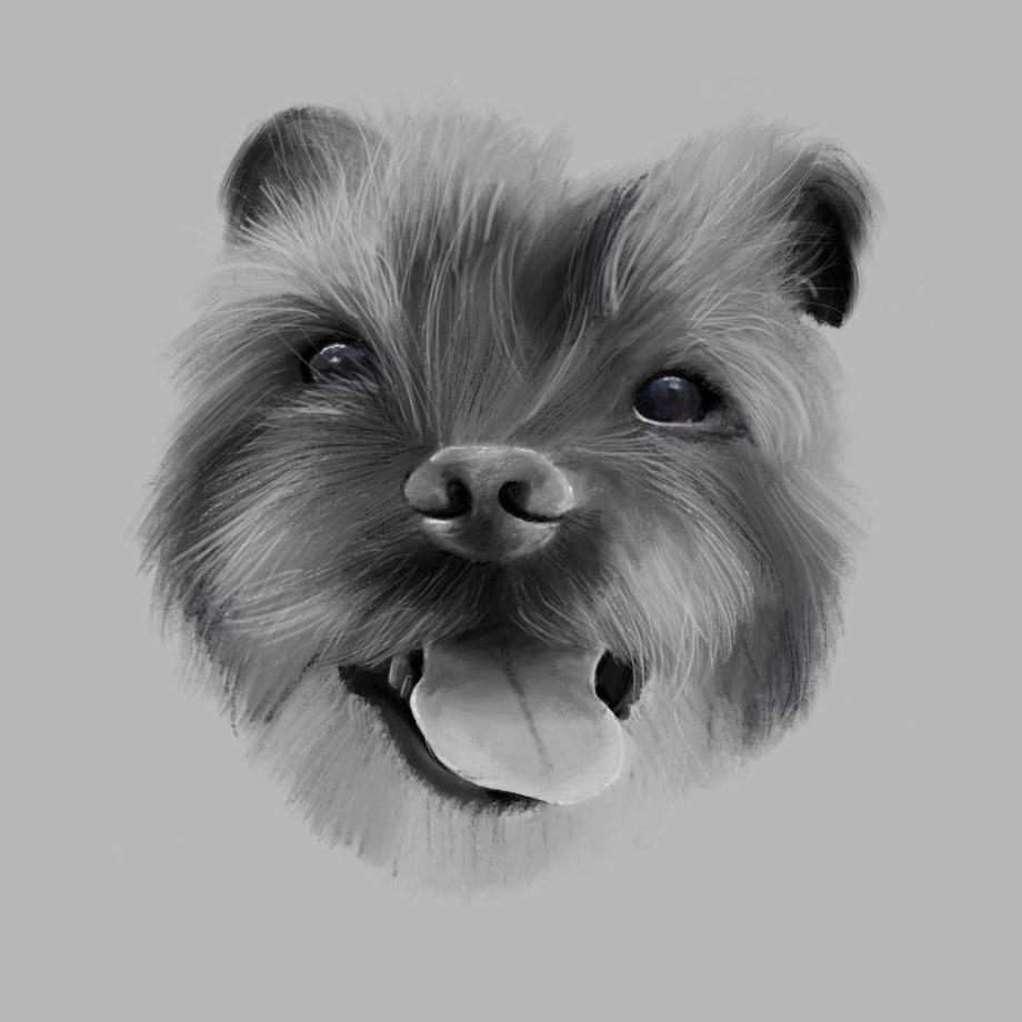 Commission of Shady by Ashley Andrews, Heather's Sister (April 2019)