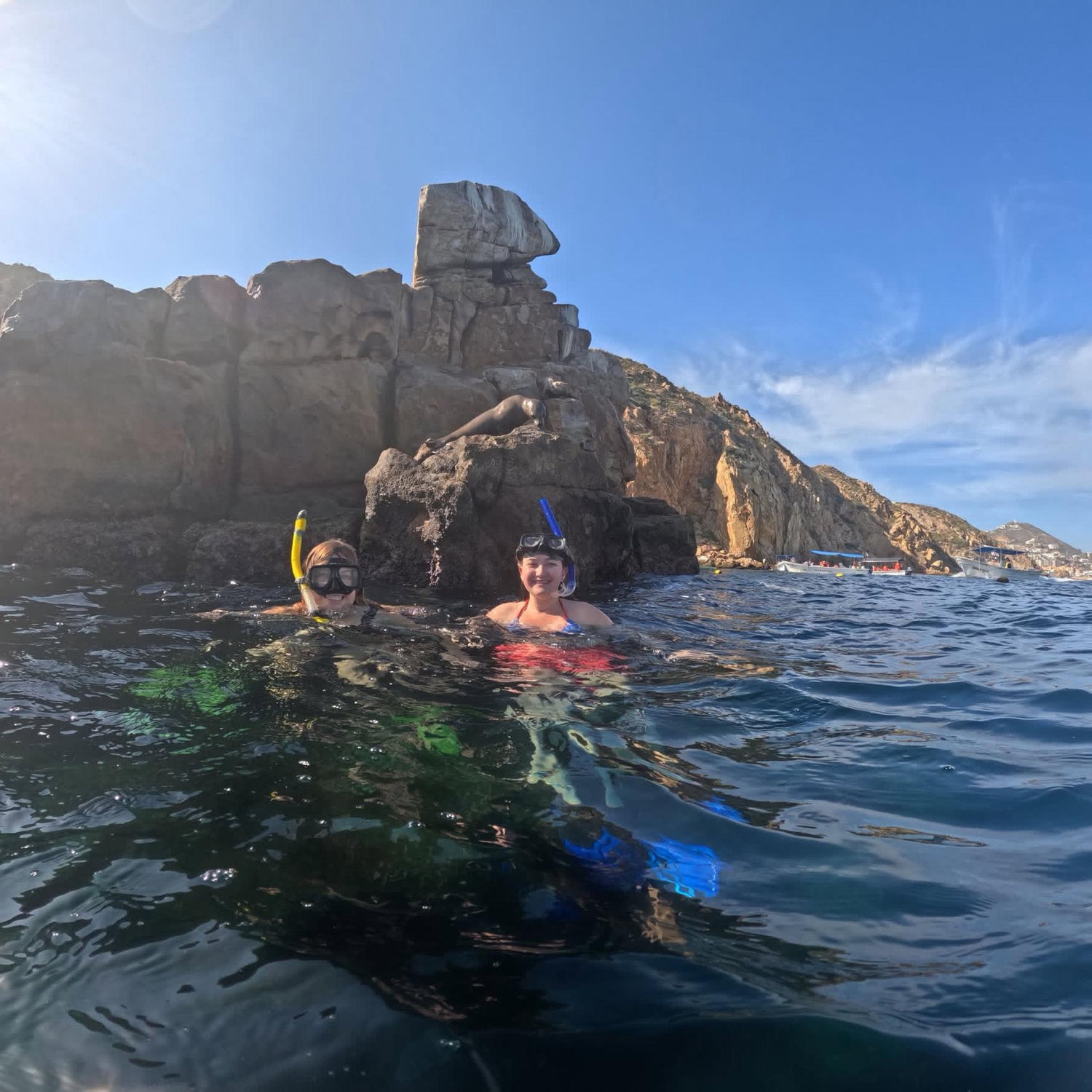 We got to see a baby seal while snorkeling, he even posed for us on the rock!