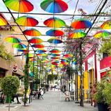 Umbrella Street