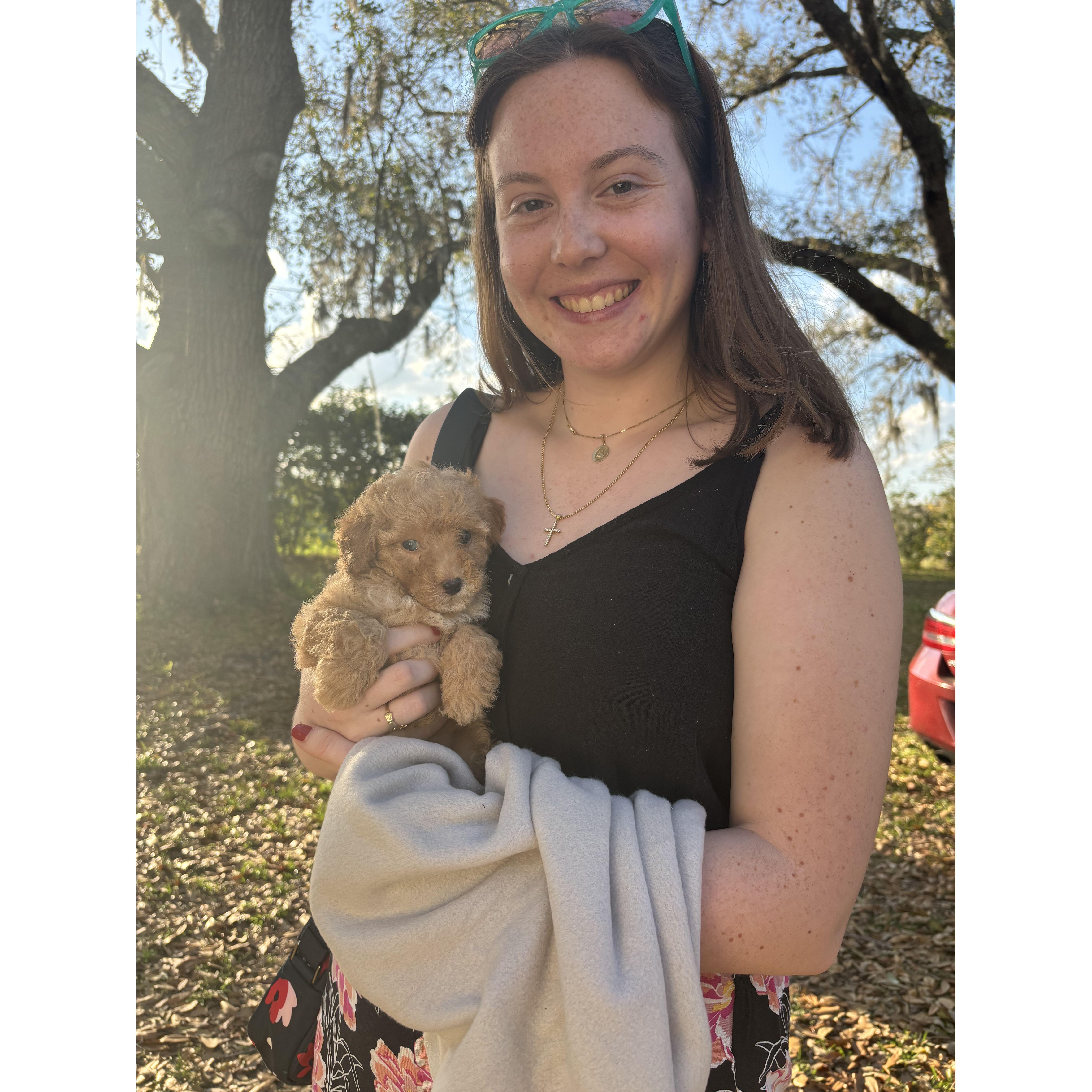 Feb. 12, 2025: Hazel's gotcha day!