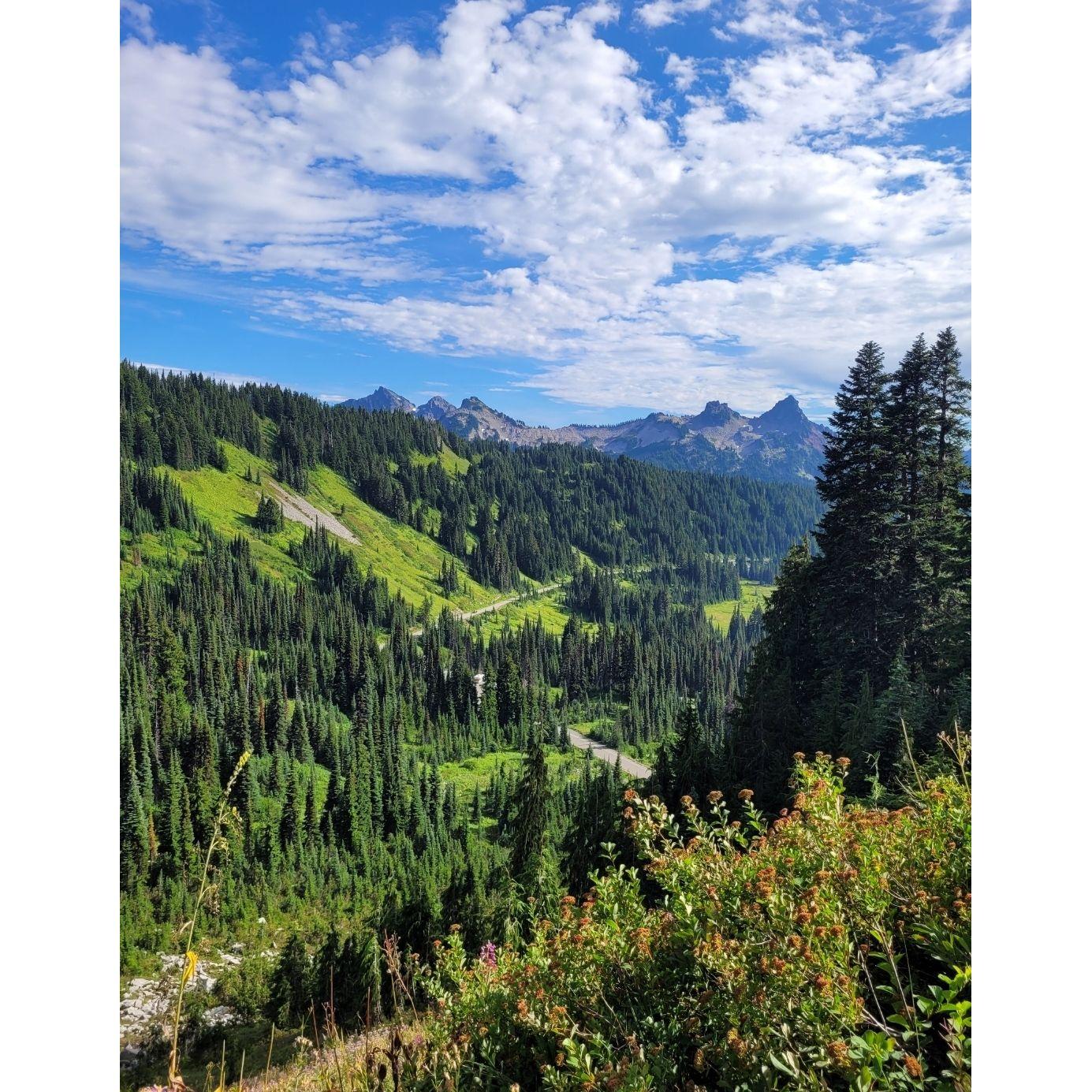 Mount Rainier National Park