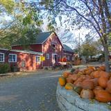 Vala's Pumpkin Patch & Apple Orchard