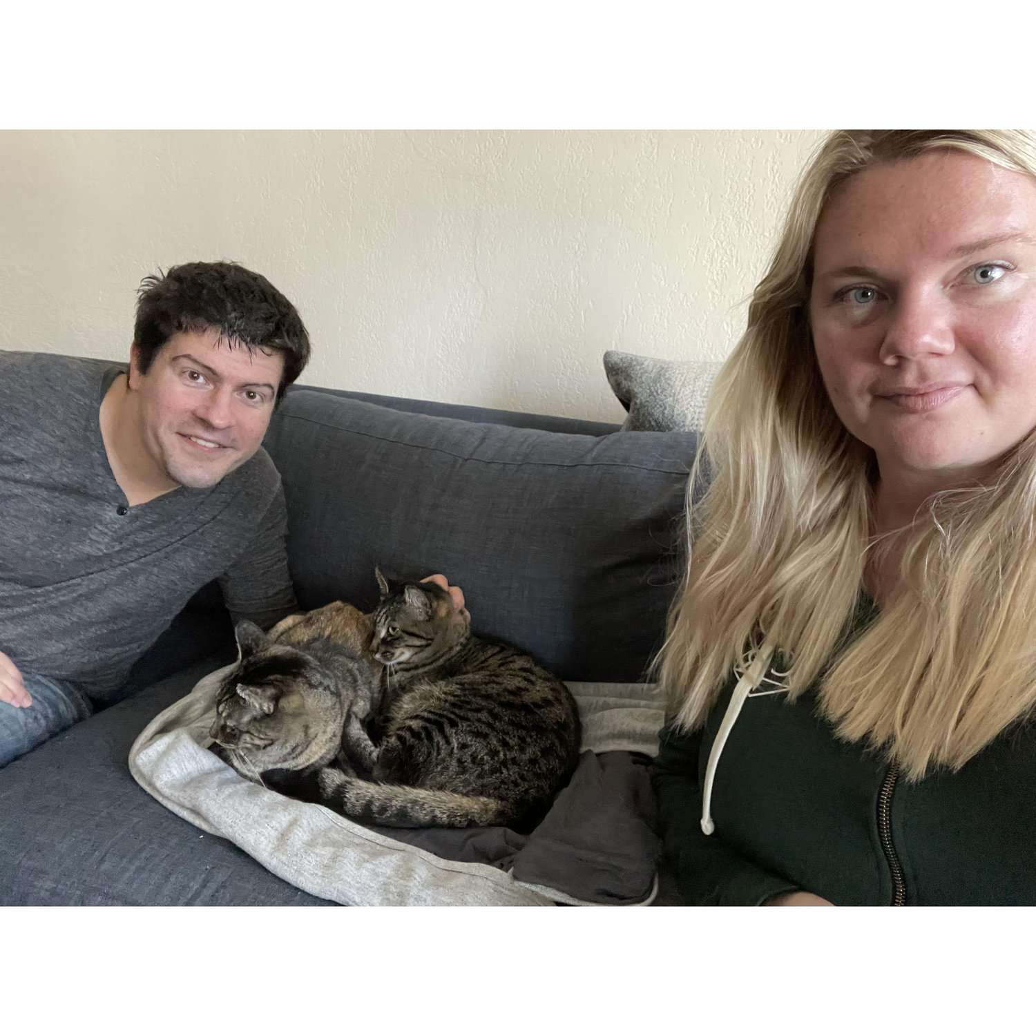 Trying to take holiday card photos with cats is really fun.