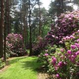Schoepfle Gardens