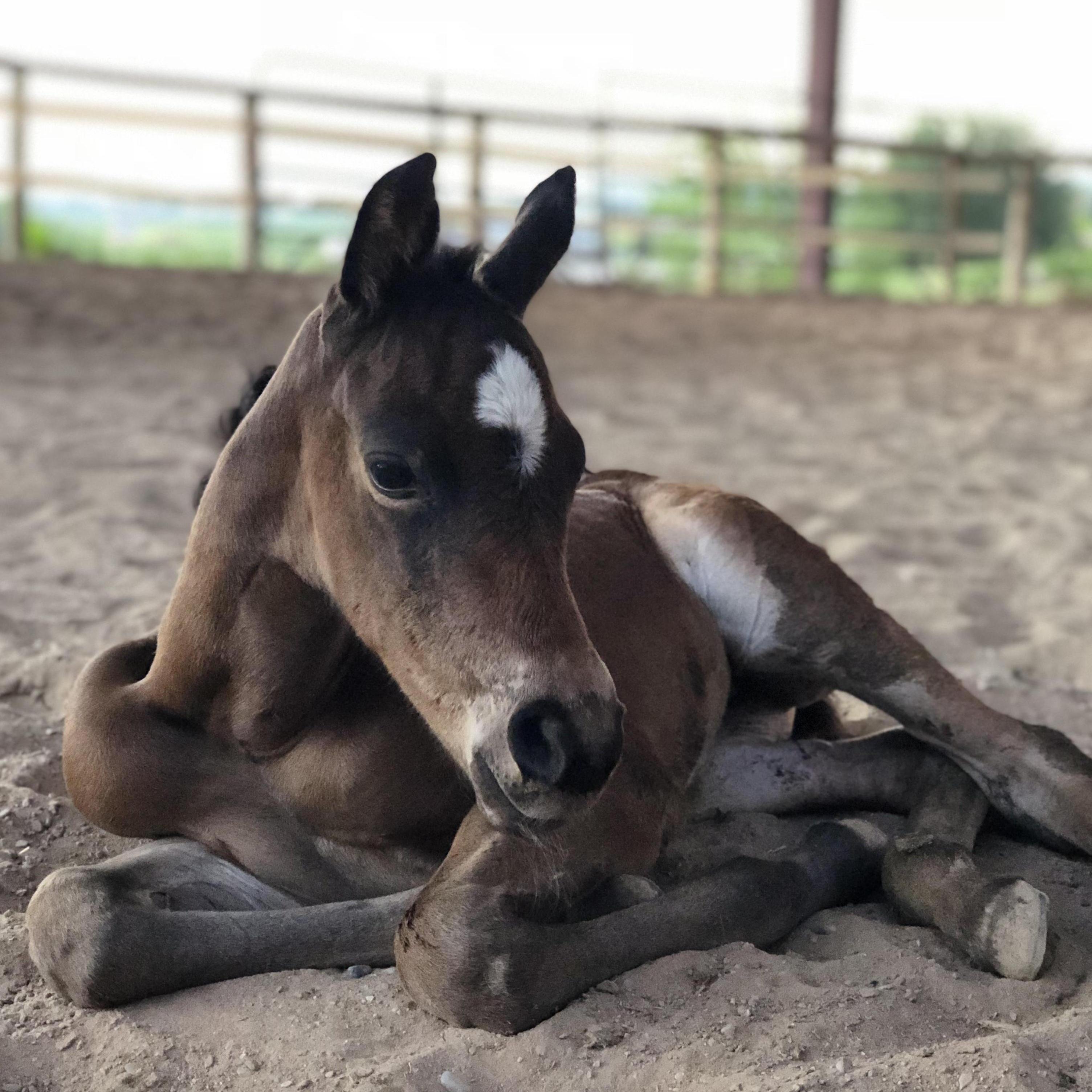 Our first "baby" together.