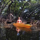 John Pennekamp Coral Reef State Park