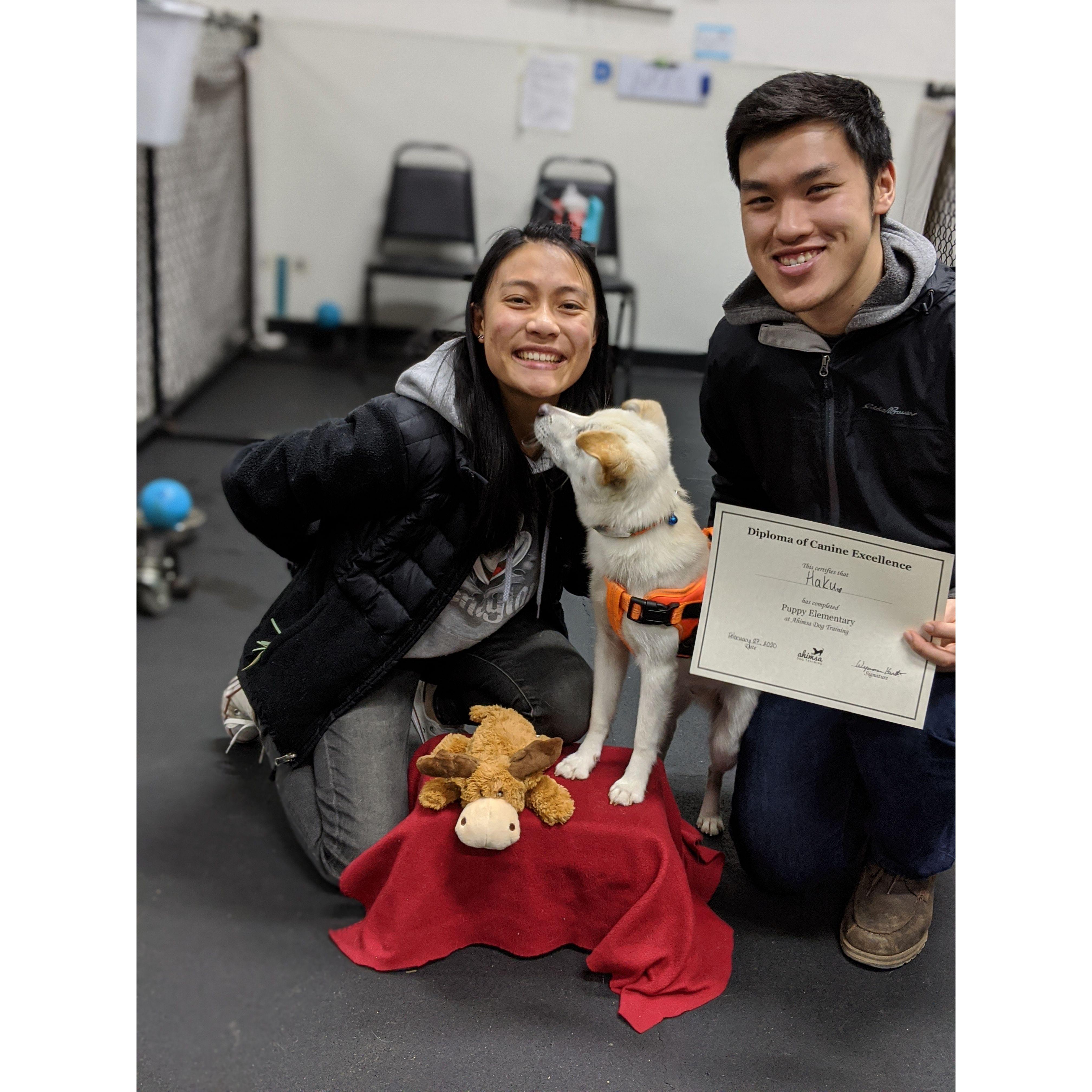 Successfully earning Haku's puppy training certificate!