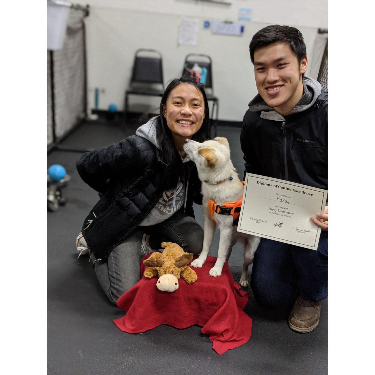 Successfully earning Haku's puppy training certificate!