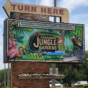Sarasota Jungle Gardens