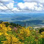 Stratton Mountain / Bromley Mountain