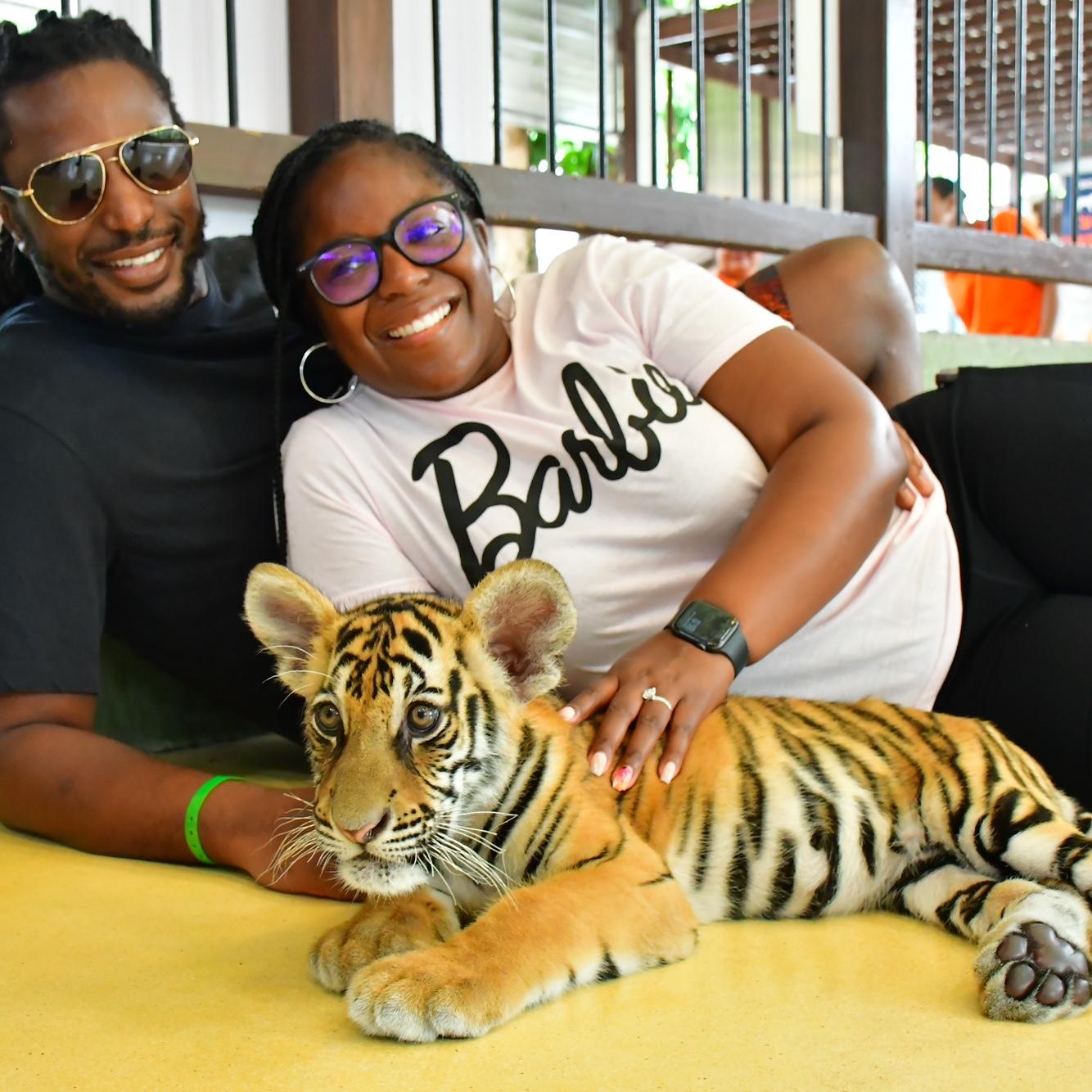 Playing with tigers in Thailand 🇹🇭