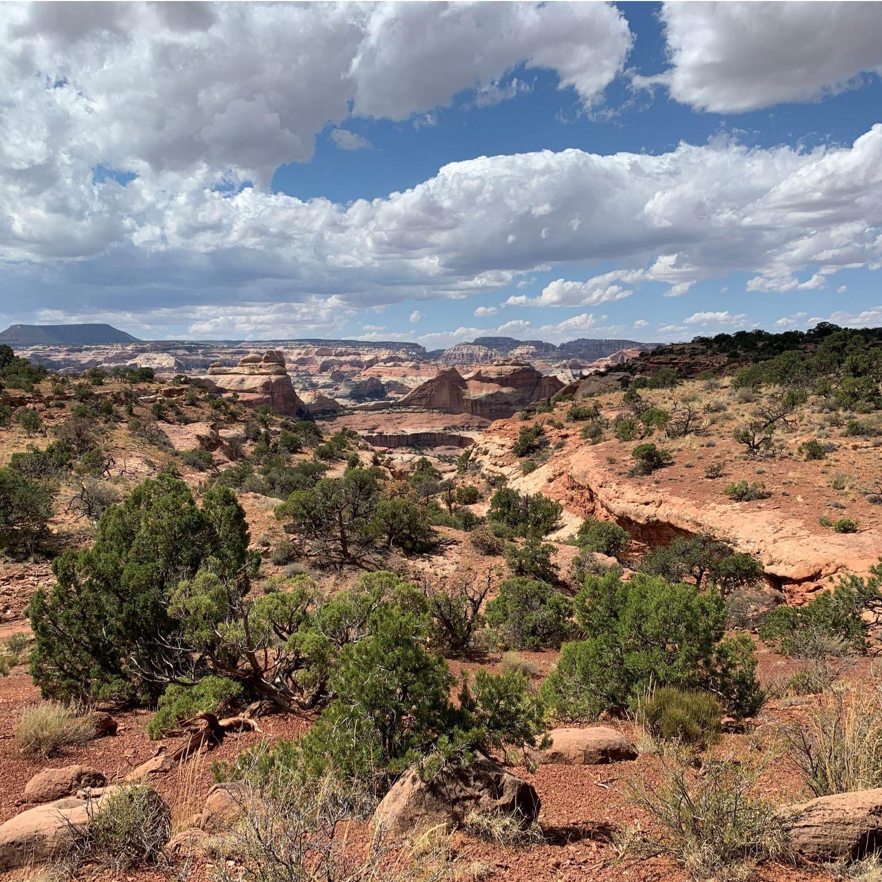 Spent a long time walking through this stuff. Pick the best path you can that does not lead you across biological soil crust or off the cliff.