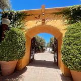 Viaggio Estate & Winery