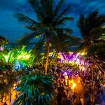 Papaya Playa Project